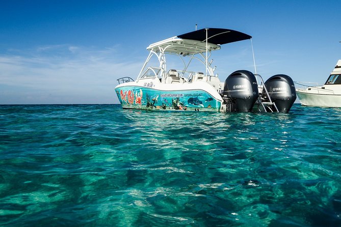 Private Stingray City Snorkeling and BioBay Charter for 6 Guests - Sunset Relaxation