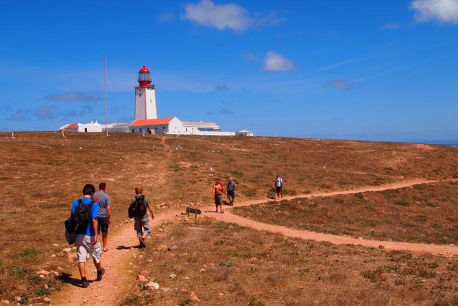 Private Tour: Berlenga Grande Island Day Trip From Lisbon - Highlights of the Tour