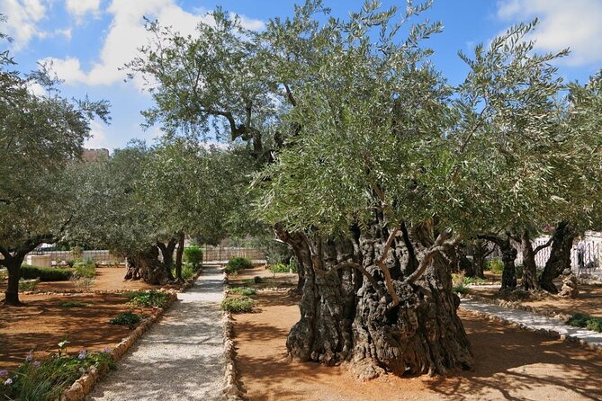 Private Tour : Jerusalem Old City Day Trip From Jerusalem - Inclusions