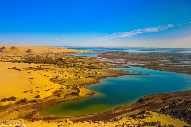 Private Tour to Whales Valley & Wadi El Rayan Waterfalls in El Fayoum From Cairo - Inclusions and Options