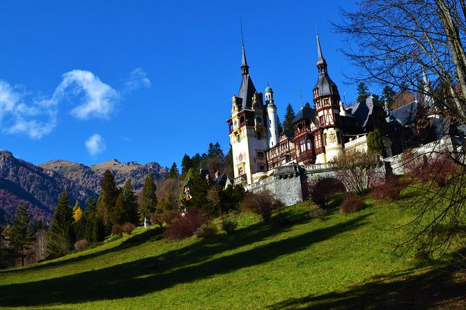 Private Tour: Transylvanian Castles and Brasovs Medieval Old Town - Inclusions