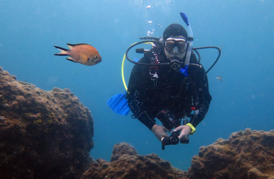 Puerto Del Carmen: 2 Guided Scuba Dives (Certified Only) - Explore Dive Spots