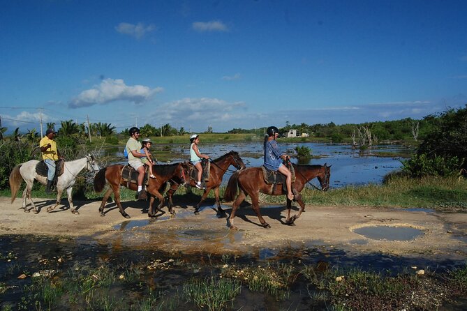 Punta Cana Horseback Riding on the Beach - Reviews and Feedback