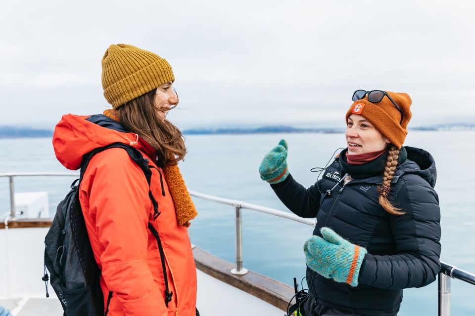 Reykjavik: Whale Watching Cruise on the Amelia Rose Yacht - Inclusions in the Tour Package