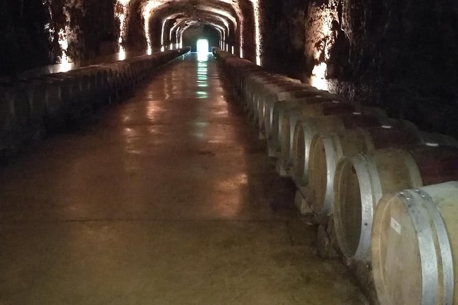 Rioja Wine Private Tour From San Sebastian - Detailed Tour Schedule