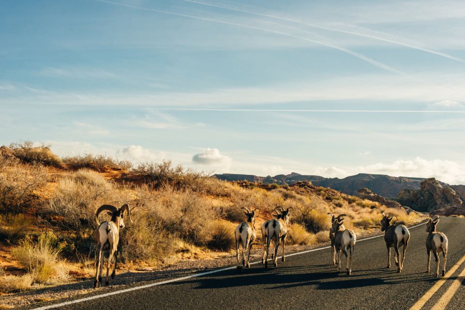 Rocky Mountain National Park: Driving Audio Tour App - Itinerary and Key Stops