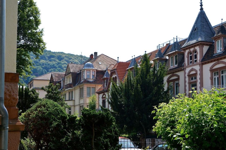 Romantic Heidelberg: Private Tour With Professional Guide - Highlights of the Tour