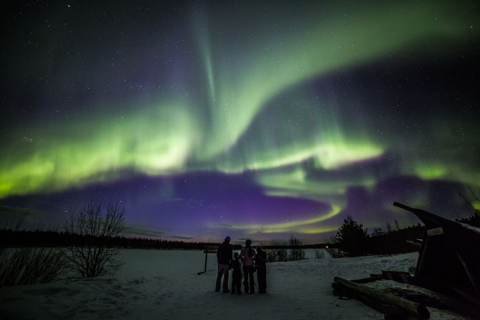 Rovaniemi: Northern Lights Sledge Ride - Inclusions and Exclusions