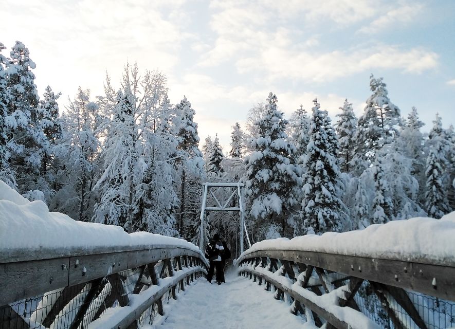 Rovaniemi: Vaattunki Hiking Arctic Circle Trail - Exploring the Arctic Circle Crossing