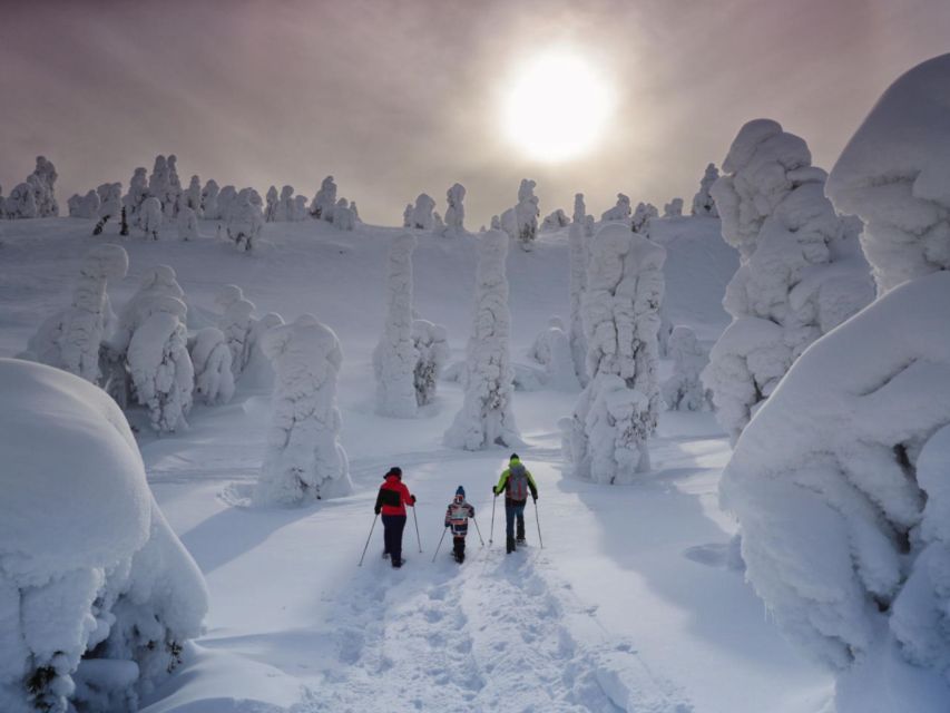 Rovaniemi: Wilderness Snowshoes Expedition Tour & Barbeque - Group Size and Experience