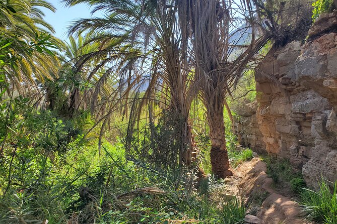 Sahara Desert and Paradise Valley Including Tajine for Lunch - Inclusions and Logistics