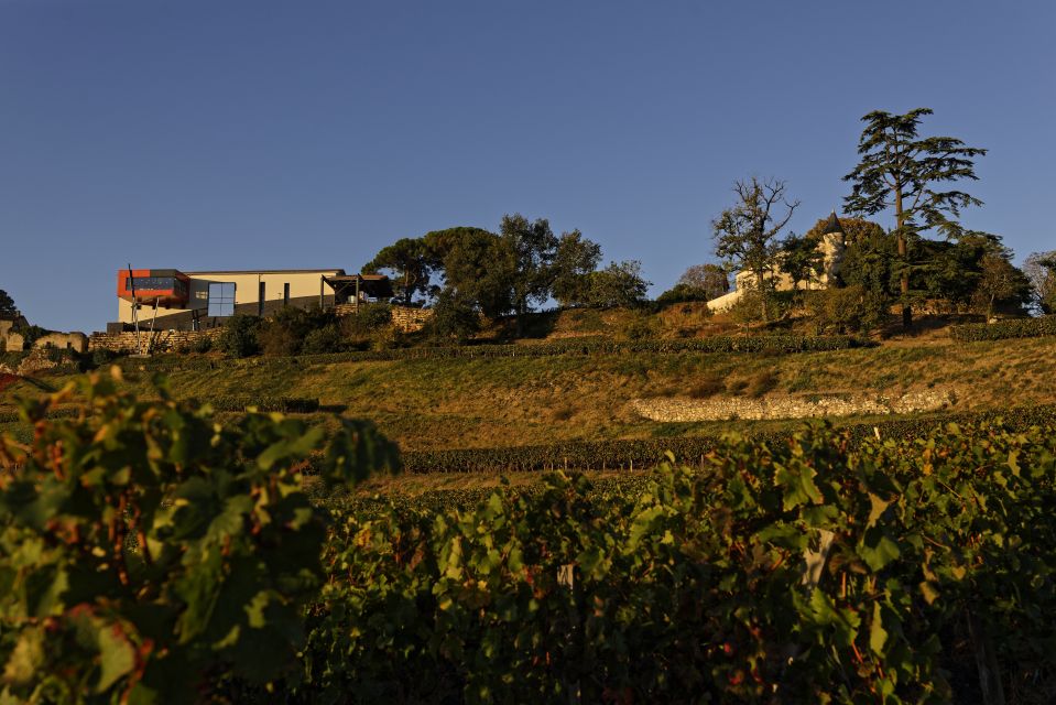 Saint-Émilion: Grand Cru Classified Winery Visit and Tasting - Winemaking Process