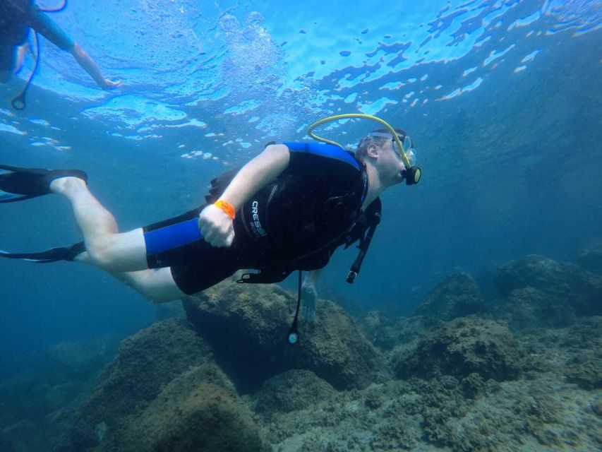 Salou: Scuba Diving for Beginners - What to Expect During the Lesson