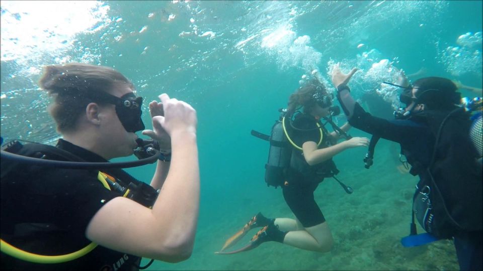 Salou: Scuba Diving - Diving Experience Details