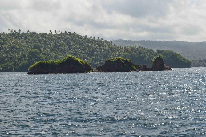 Samana Full-Day Tour With Whale Watching and Horse Riding - Tour Accessibility