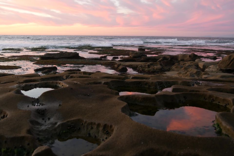 San Diego: La Jolla Self-Driving Audio Tour - Experience Highlights