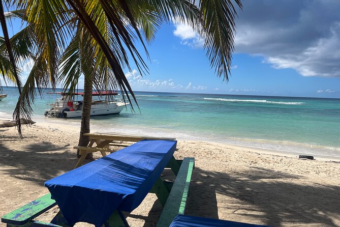 Saona Island for Costa Pacifica Cruise Passengers - Lunch and Snacks