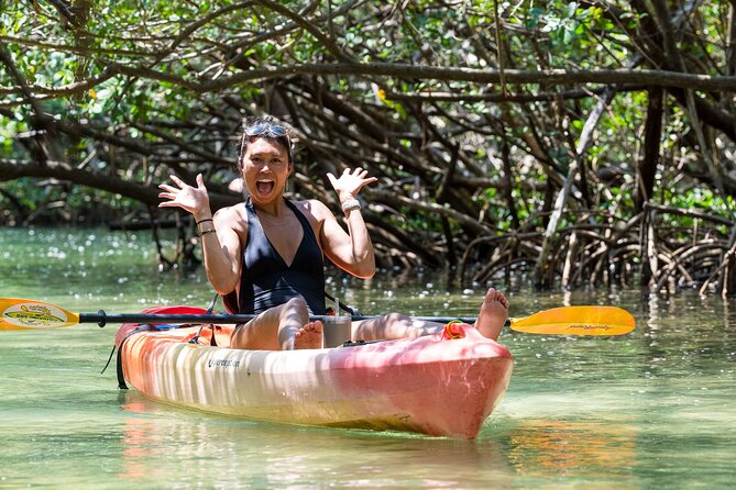 Sarasota Mangrove Tunnel Guided Kayak Adventure - Tour Experience