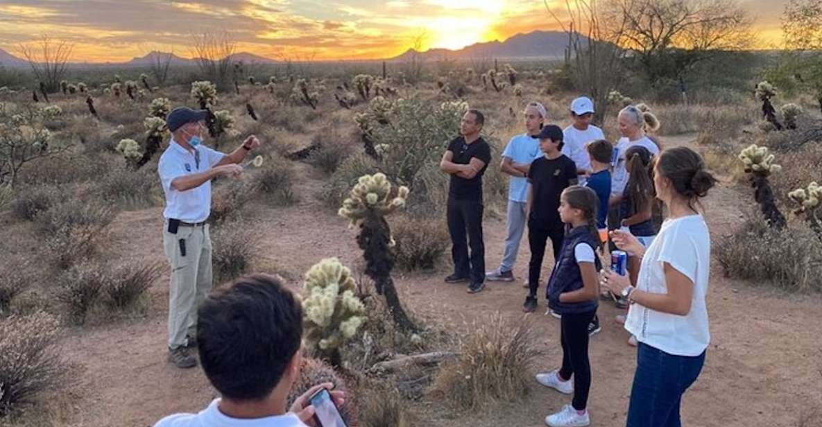 Scottsdale: McDowell Sonoran Preserve Hiking Tour - Native American History Insights