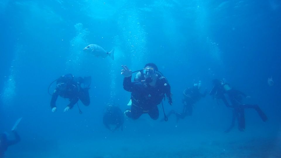 Scuba Diving Baptism in Caleta De Fuste - Course Structure