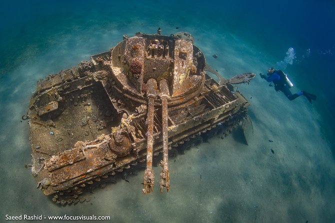 Scuba Diving for Certified Divers - Coral Reefs and Artificial Wrecks