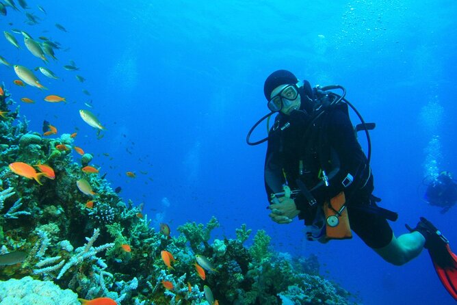 Scuba Diving to Dimaniyat Islands Muscat Oman - Meeting and Pickup