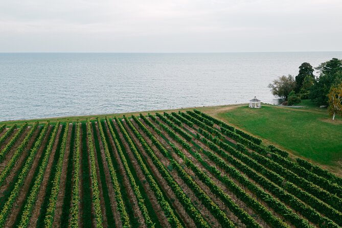 Seated Tasting Experience at Konzelmann Winery - Wine Samples Offered