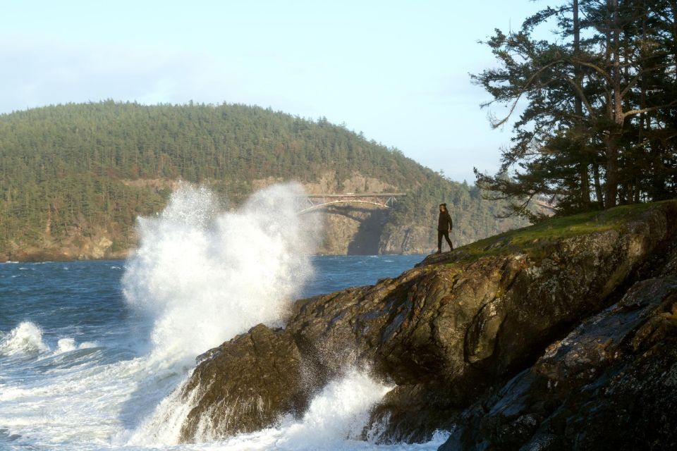 Seattle: Whidbey Island Deception Pass + Winter Birding Trip - Itinerary Highlights