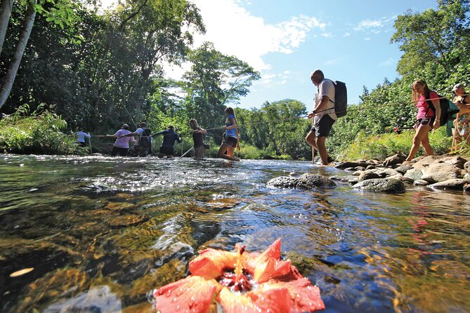 Secret Falls Kayak Hike in Kauai - Meeting and Logistics