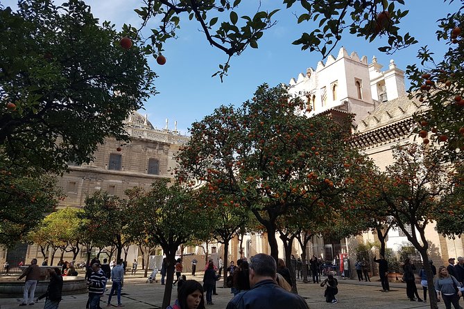 Seville Cathedral Tour Including Tickets and Skip the Line Entry - Architectural Highlights