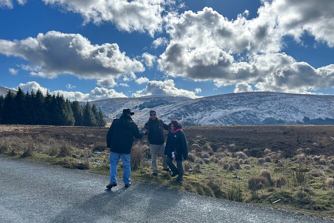 Sheepdog Herding, Glendalough Monastery & Wicklow Mountain Drive - Explore Glendalough Monastic Settlement