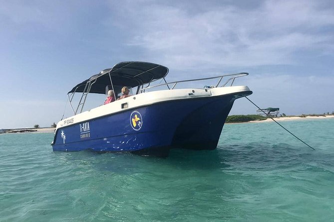 Small Day Cruise (Islet, Mangrove, Coral Reef) - Meeting Point and Pickup