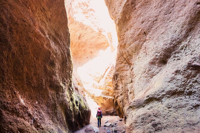 Small-Group Half-Day Canyoning in La Orotava - Tour Highlights