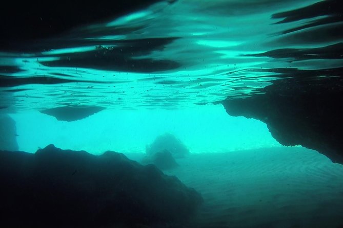 Snorkeling Among the Underwater Caves of Ischia Ponte - Timings and Availability