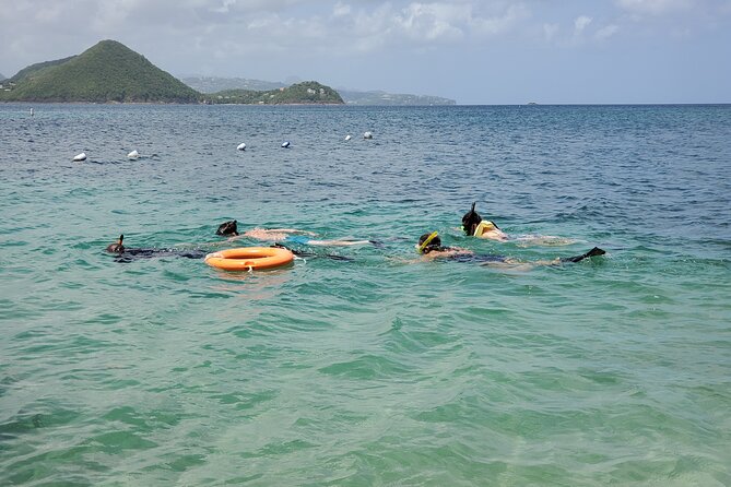 Snorkeling at Pigeon Island - Highlights of the Marine Life