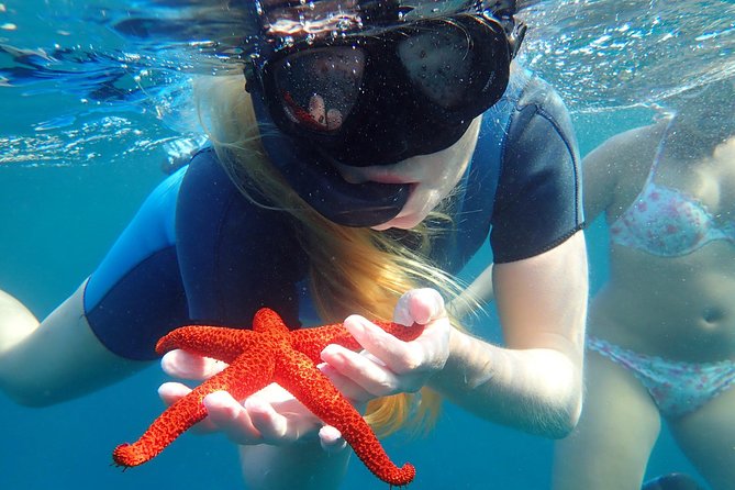 Snorkeling Excursion in Tabarca Island - Booking Options