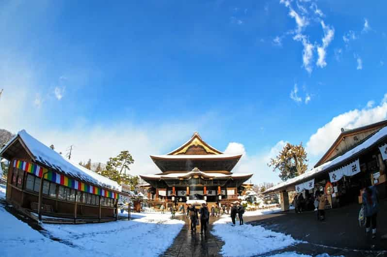 Snow Monkey, Zenko Ji Temple, Sake in Nagano Tour - Itinerary Highlights