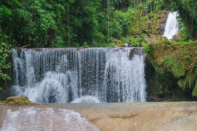 South Coast Tour: YS Falls, Black River Safari - Tractor-Pulled Jitney Ride