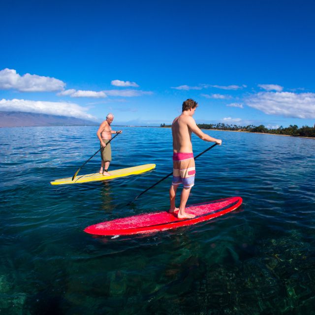 South Maui: Makena Bay Stand-Up Paddle Tour - Highlights of the Experience