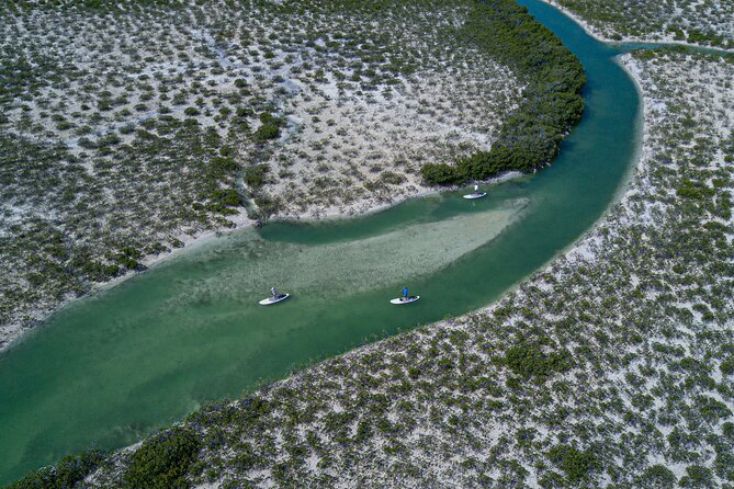 Stand up Paddleboard Eco Tour - Whats Included