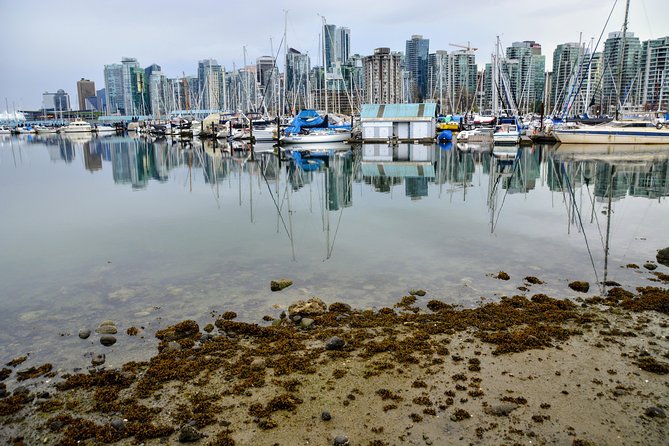 Stanley Park & English Bay Golden Hour Photography - Meeting and Pickup