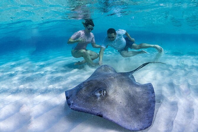 Stingray City and Barrier Reef Snorkel - Pickup Information