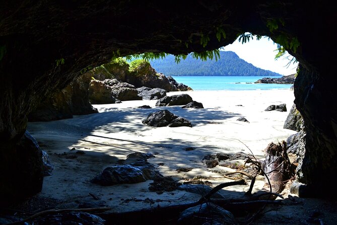 STUNNING San Josef Bay Tour in Cape Scott Provincial Park - Whats Included