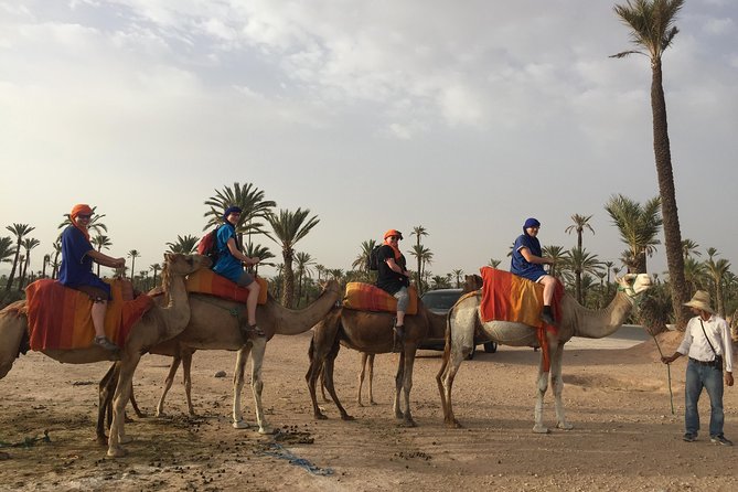 Sunset Camel Ride in the Palm Groves of Marrakech - Meeting and Pickup Details