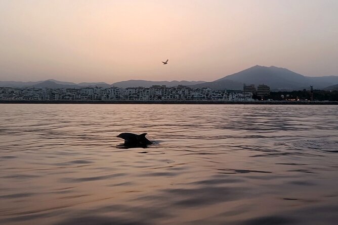 Sunset Sailing on a Private Sailboat Puerto Banús Marbella - Whats Included