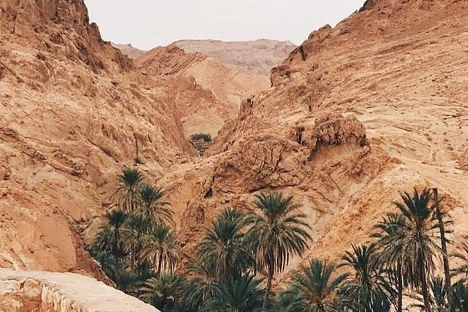 Tamerza Canyon Oasis Tour - Inclusions