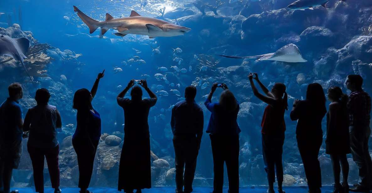 Tampa: The Florida Aquarium Ticket - Aquarium Exhibits