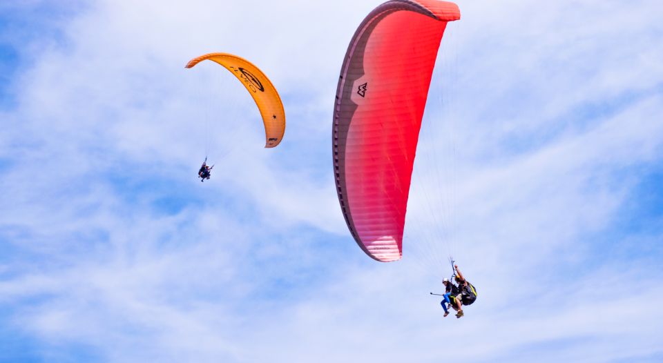 Tenerife: Paragliding Flight - Pricing and Booking