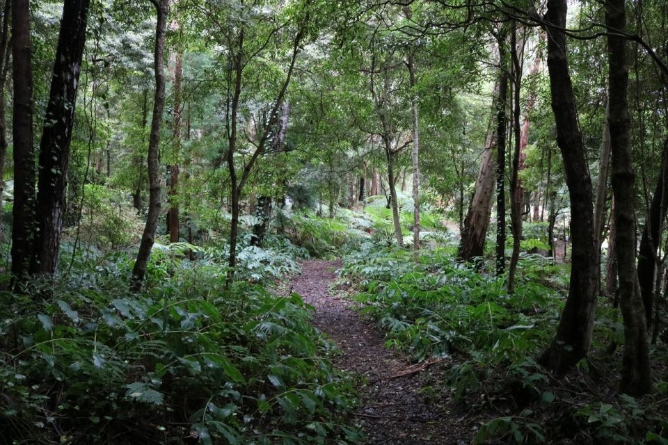 Terceira Island: Walking Trails Hiking Tour - Highlights of the Experience