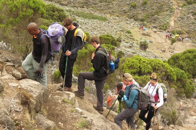 The Best & Unique Kilimanjaro Hiking Tour 7 Days Machame Route - Highlights of the Climbing Experience